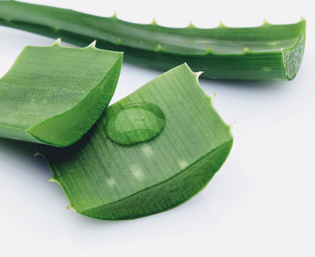 Homemade Aloe Vera Leave In Conditioner recipe AnointedHeels