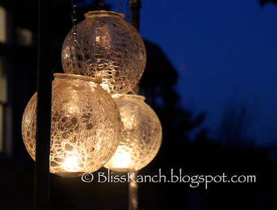 Light Globes as patio lights, Bliss-Ranch.com