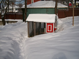 The Coop in January