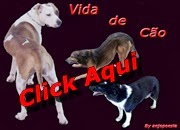 Mundo de cão