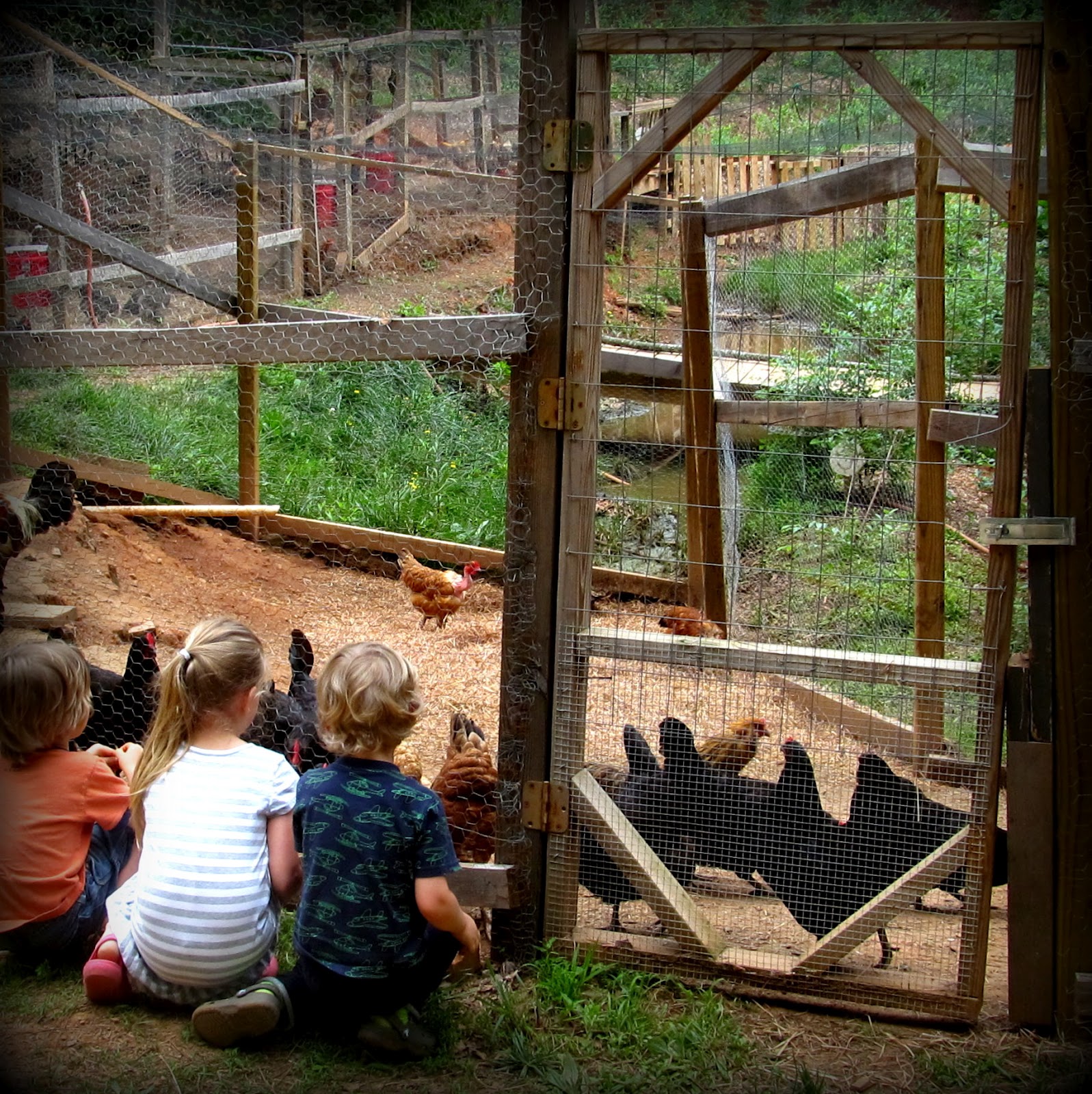 Keeping Time: GOFO Urban Farm Tour