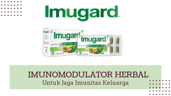 mengenal imugard sebagai imonumodulator herbal untuk imunitas