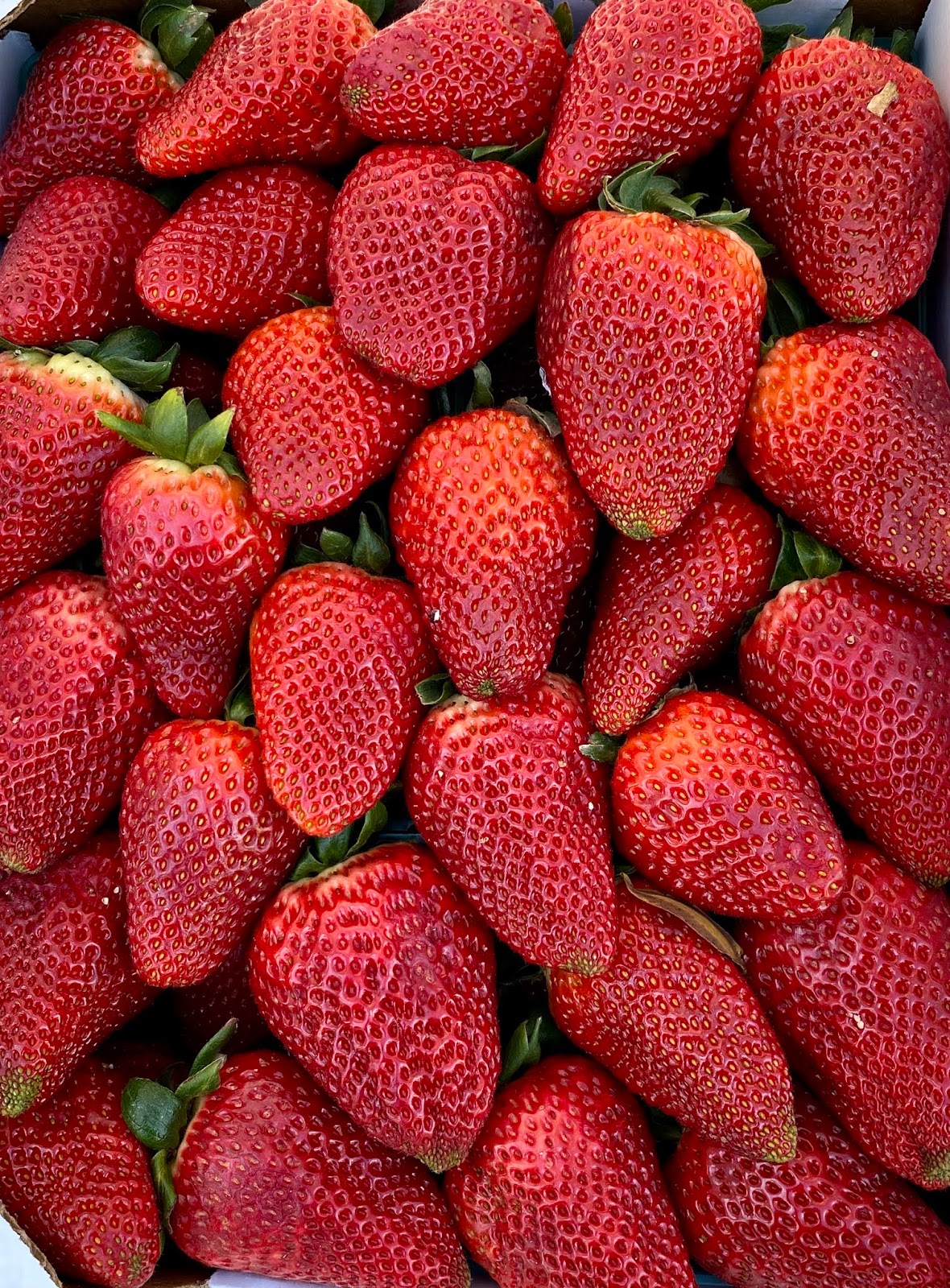 GREAT EATS HAWAII STRAWBERRY STAND CARLSBAD, CA