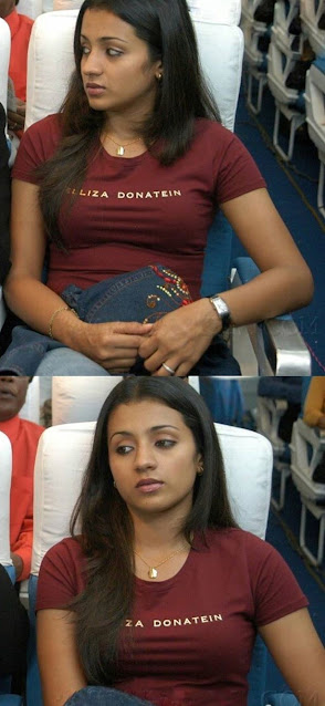 Throwback Thursday gallery of Trisha Krishnan Venkatesh Daggubati Aadavari Matalaku Arthale Verule