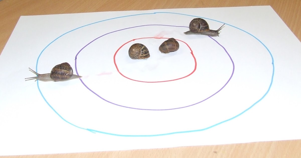 STEAMing ahead at Storytime Snails and Slugs