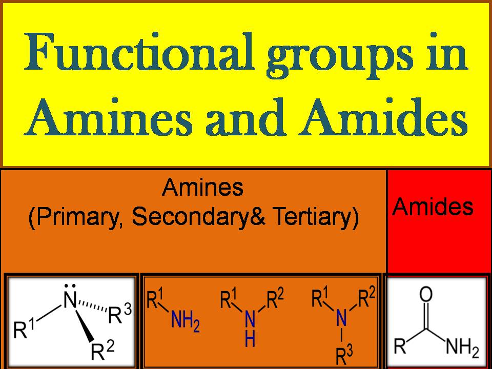 Grade 12 CHAPTER 4 NITROGEN COMPOUNDS. SEMESTER 1