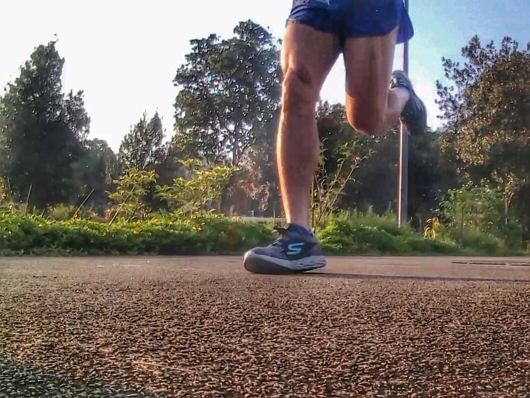 skechers go run 5 2016