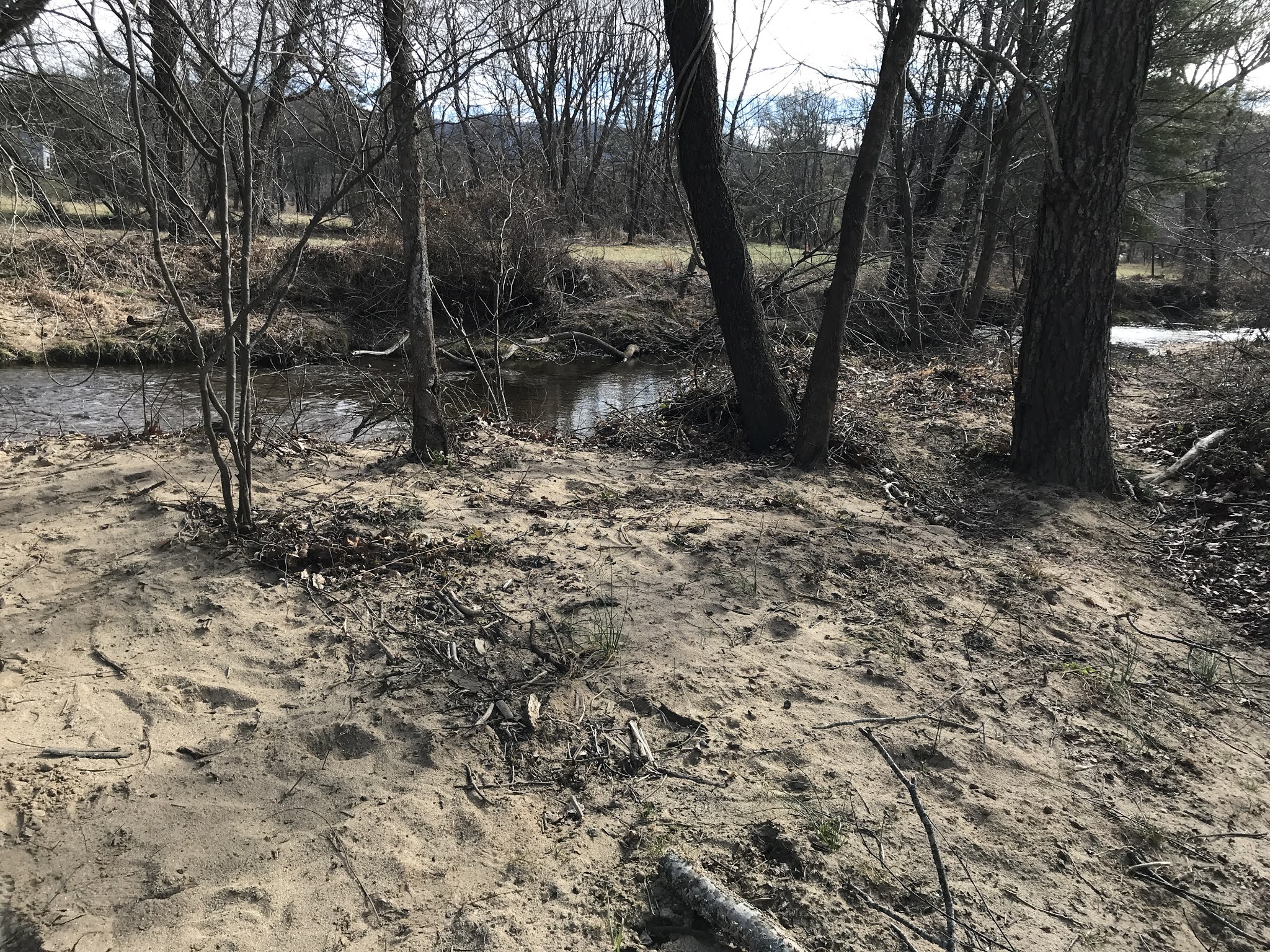 When I was 69 (now 80) Way down upon the Swannanoa River