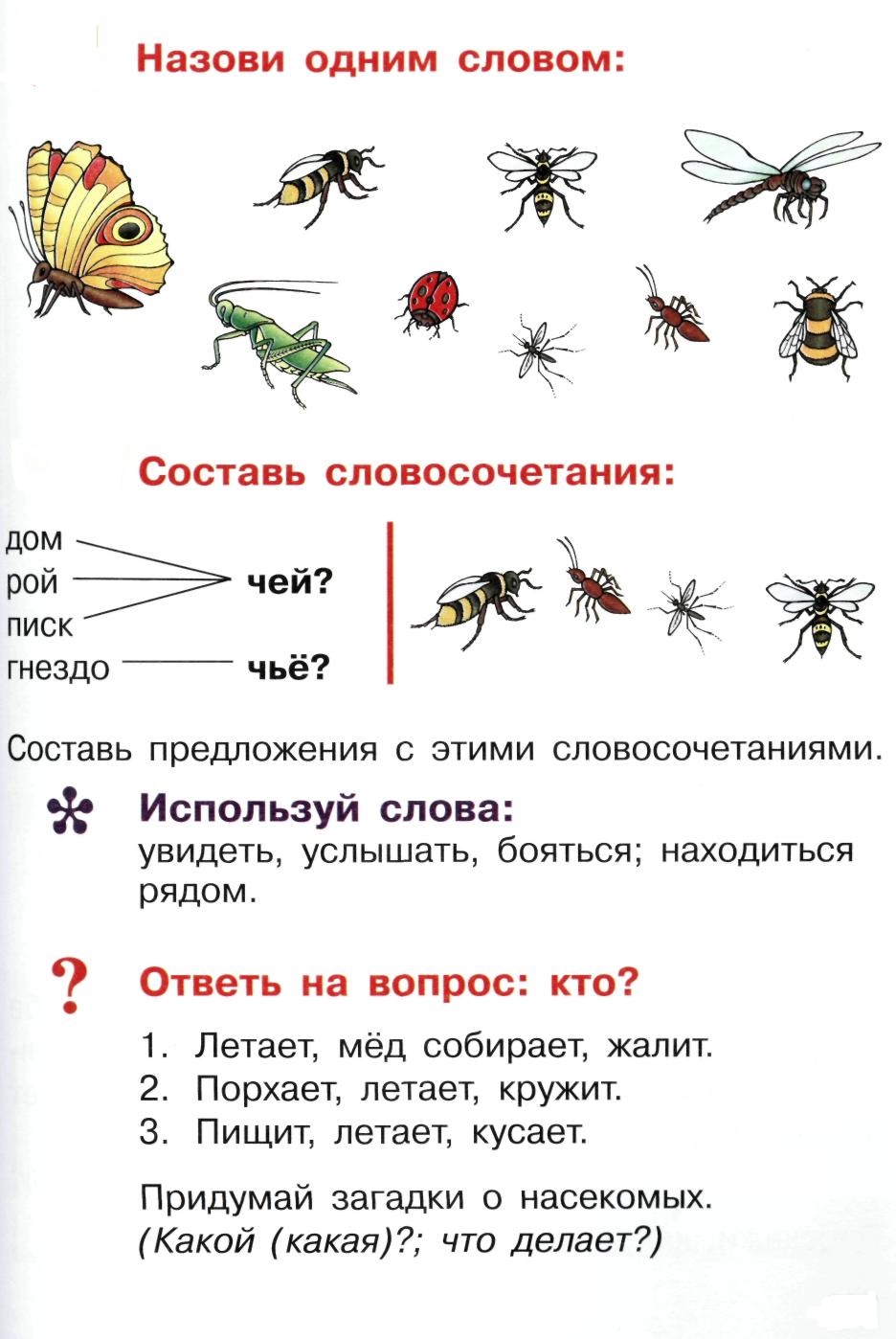 Про насекомых детям 5 лет