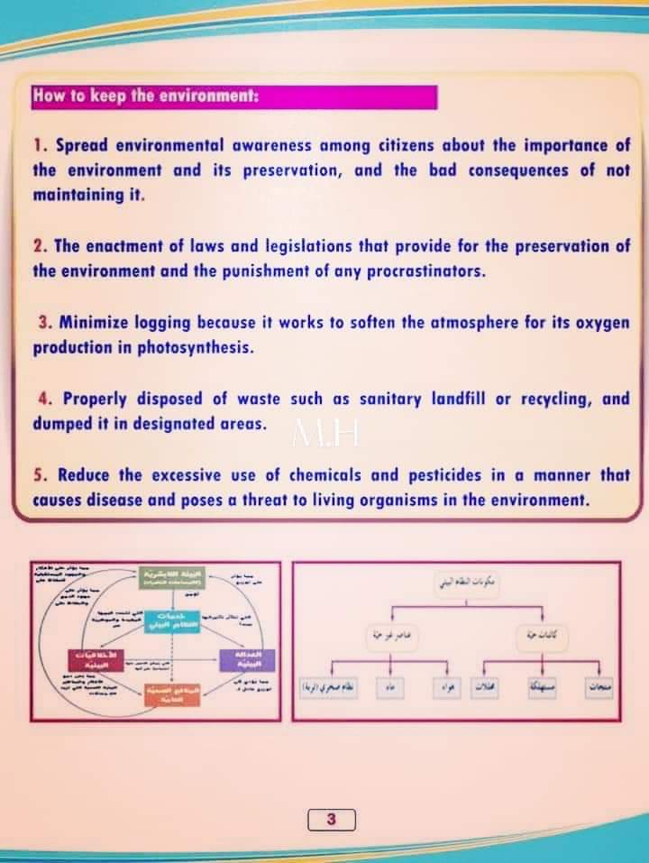 فقرات اللغه الانجليزيه في مشروع بحث وزارة التربية والتعليم لصفوف ابتدائي وإعدادى