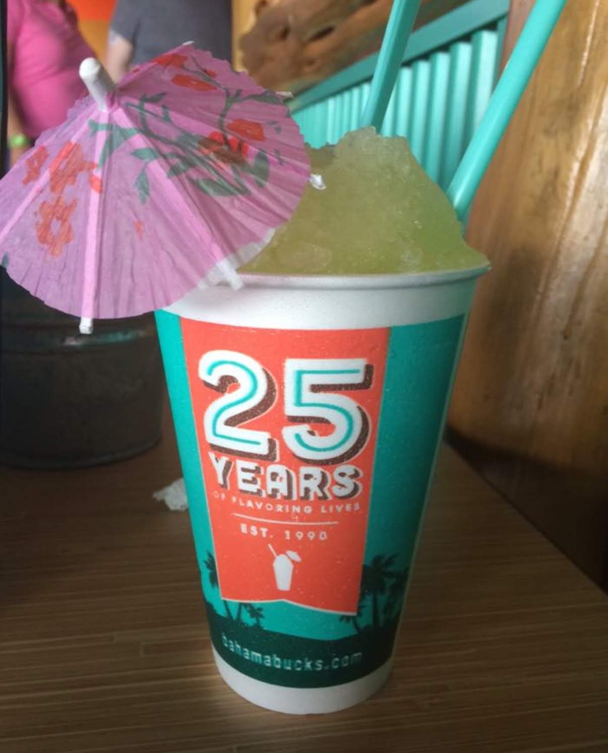 The Plaid Pickle Studio Sonic Pickle Slush