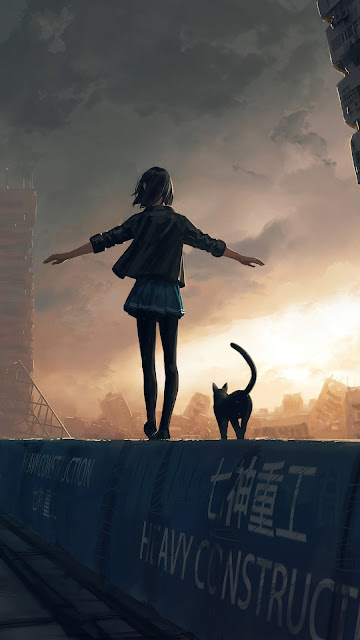 Wallpaper girl walking with cat HD