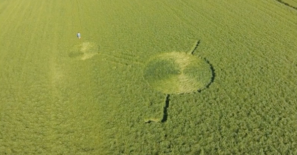 UFO SIGHTINGS DAILY: Crop Circles 2016 - Hoeven, Netherlands - 7th may ... Famous Crop Circle