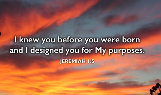 IMMANUEL GOD WITH US: I knew you before you were born and I designed