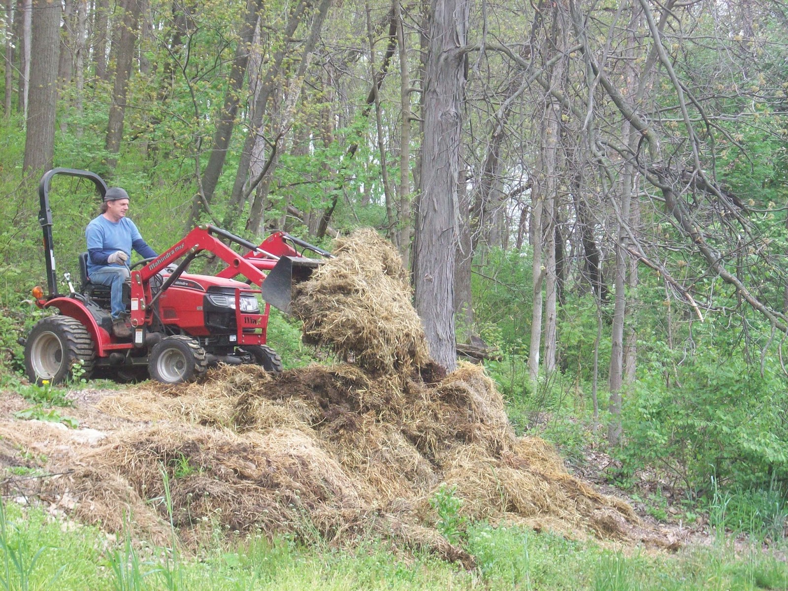 4 acres and a stream The Manure Fork