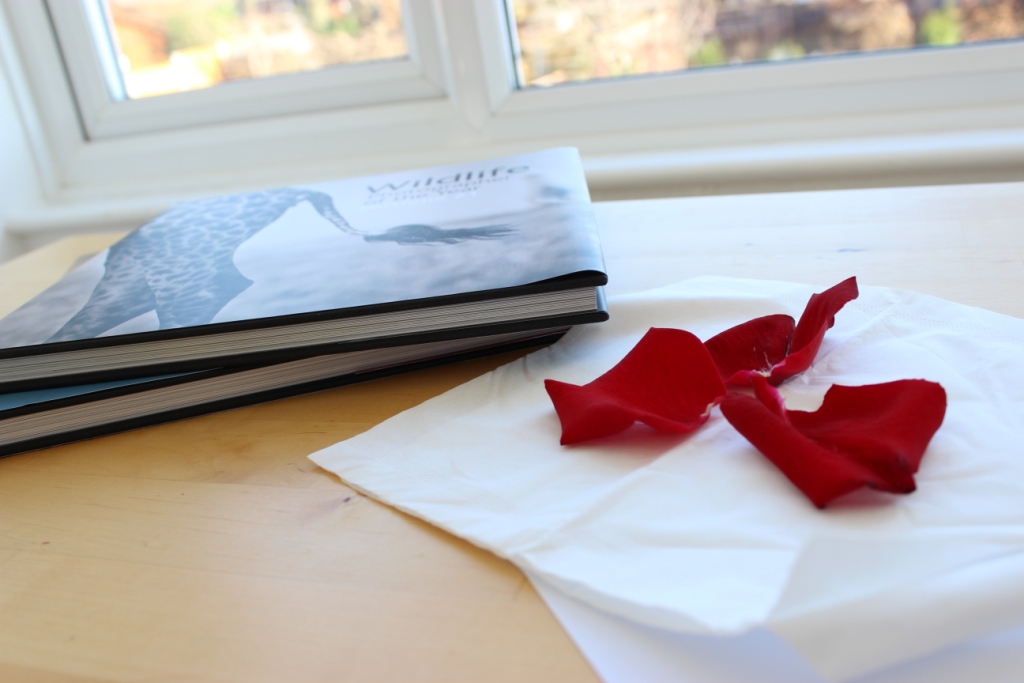 floral and feather Petal pressing a practise