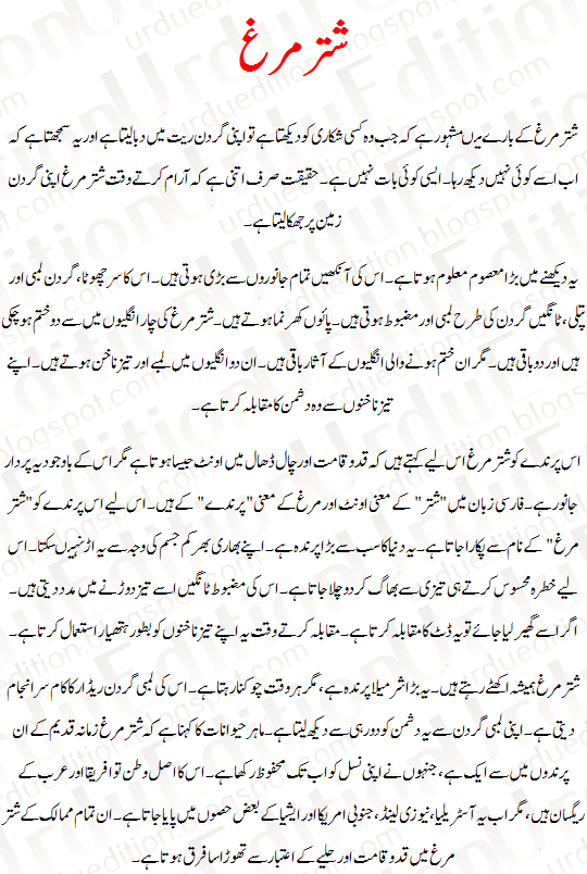 Khwab Ki Tabeer, Khawab Ki Tabeer, Khwabon Ki Tabeer, Ostrich