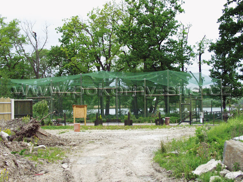 Einziehbarer Hühnerfänger 2-in-1 Set - Tierfanggerät Für Geflügel Und Kleintiere