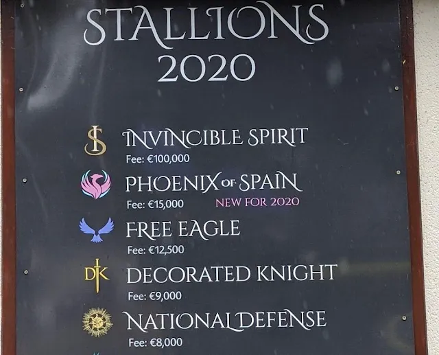 Stallion price list at the Irish National Stud and Gardens