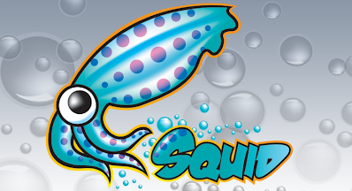 Squid Proxy Ubuntu Server