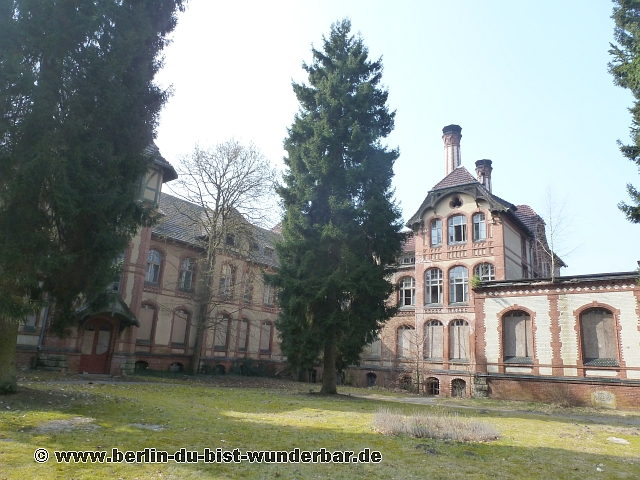 Polnischer Spargelsalat Bar Bezahlt Glatzkoch De