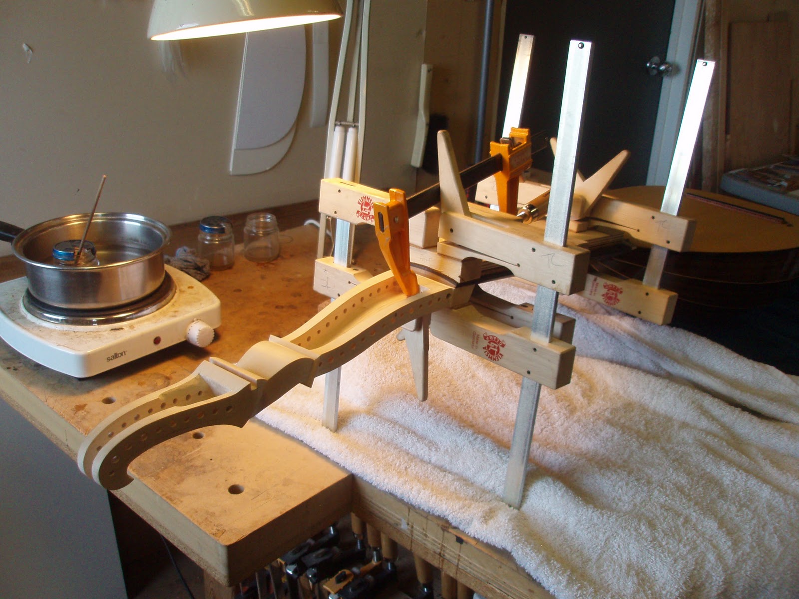 The Lute's Progress,: Schelle/Widhalm