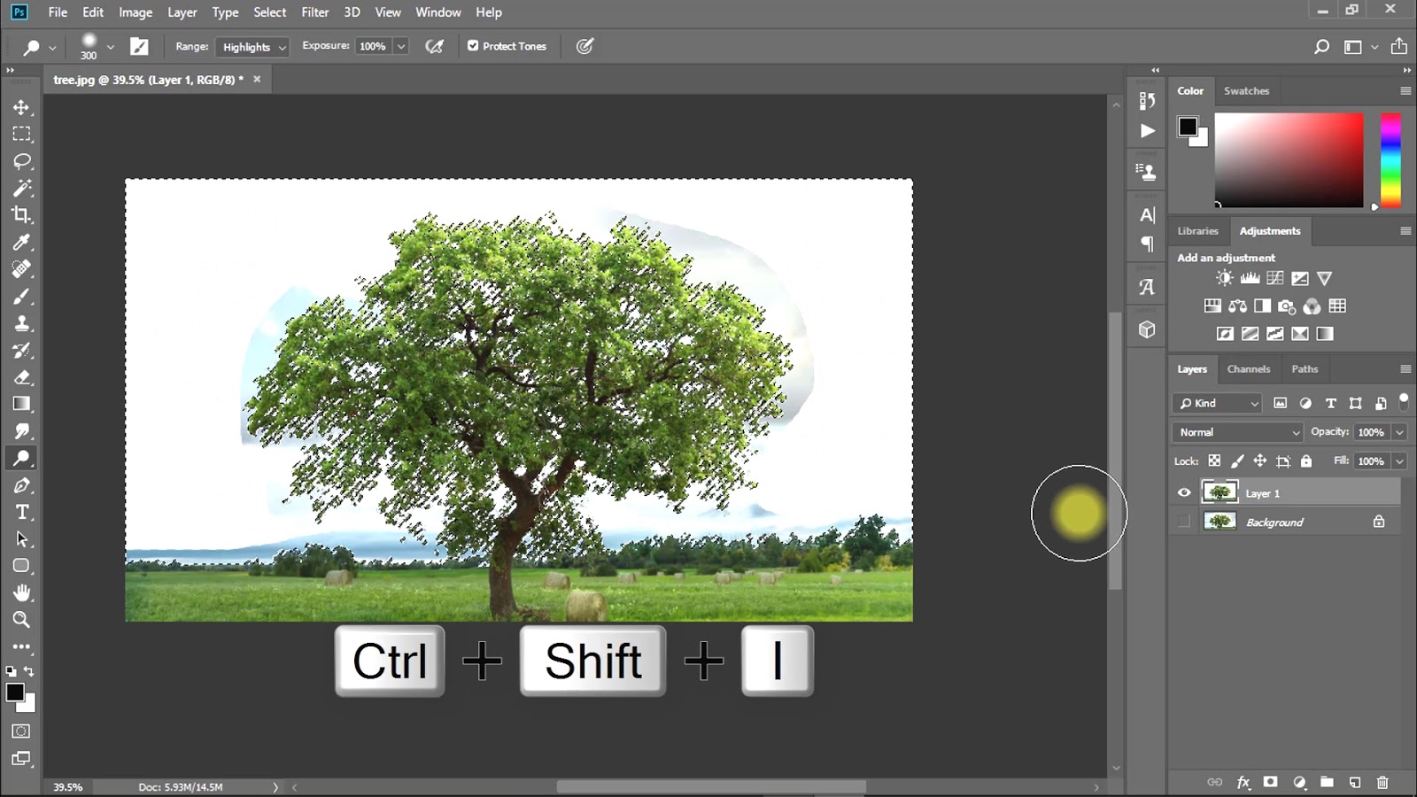 How to cut out tree in Tutorials (Quick Techniques)