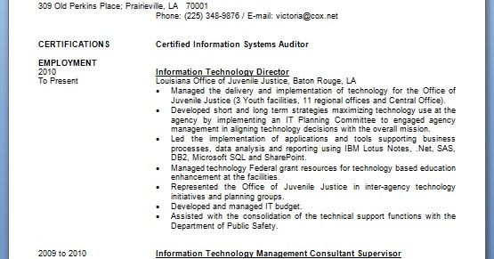 information technology director resume format in word free experienced auditor resume