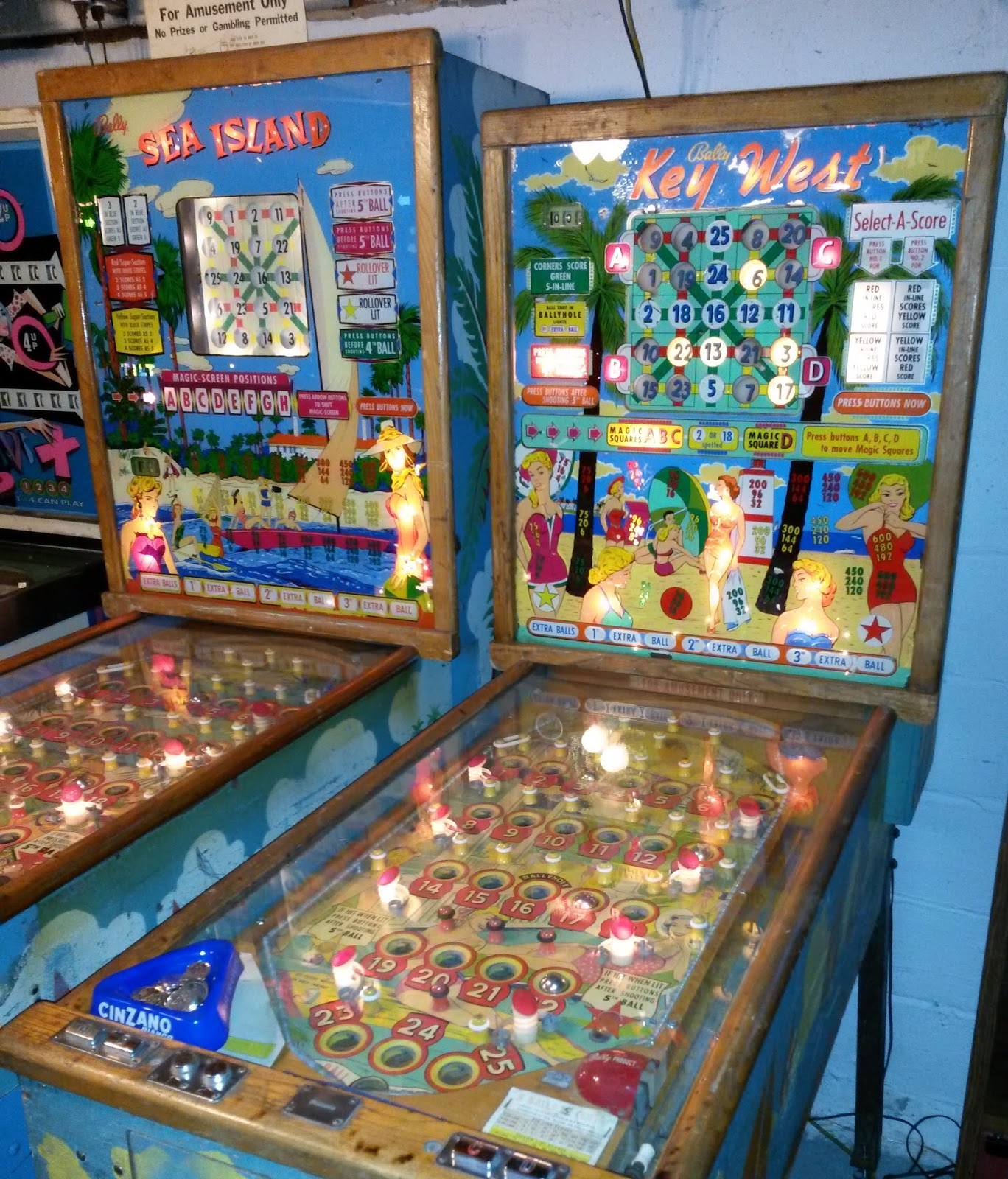 so I bought a pinball machine Niche Collections pindude152's bingos