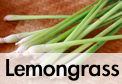 what is lemon grass