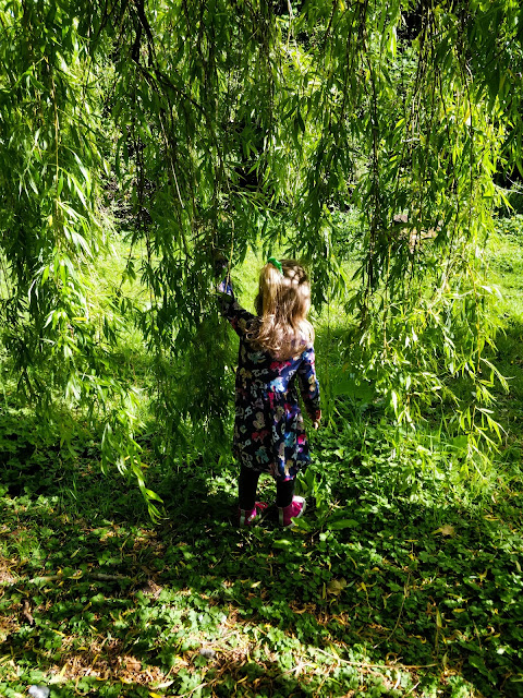 A small blonde haired girl wearing a navy knee length, long sleeved dress with colourful horse characters on it, navy tights and bright purple high top shoes is standing on grass in front of a wall of low hanging branches from a tree that covered in green leaves. She is holding several branches to the side with her left hand as if she is going to walk through them.