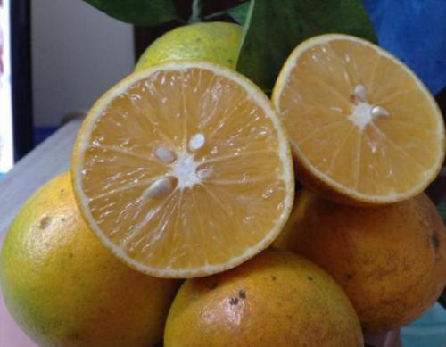 67ad68dd 5e9f 4ade 8b21 ee467be3cd90