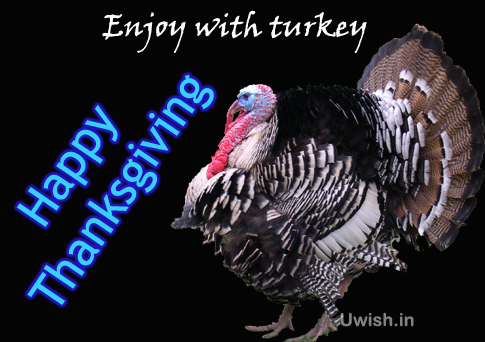Happy thanksgiving wishes and greetings with turkey