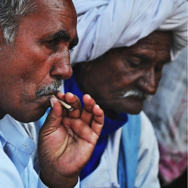 Indian Old men man male guy in colors portrait beautiful rajasthan jaisalmer