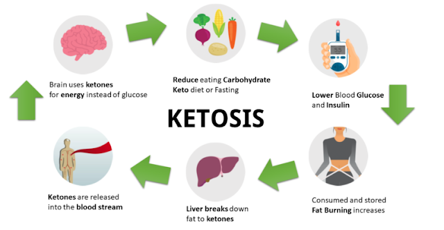 Ketosis and Keto Diet Infographic