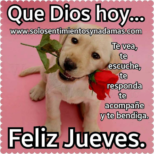 Feliz Jueves.