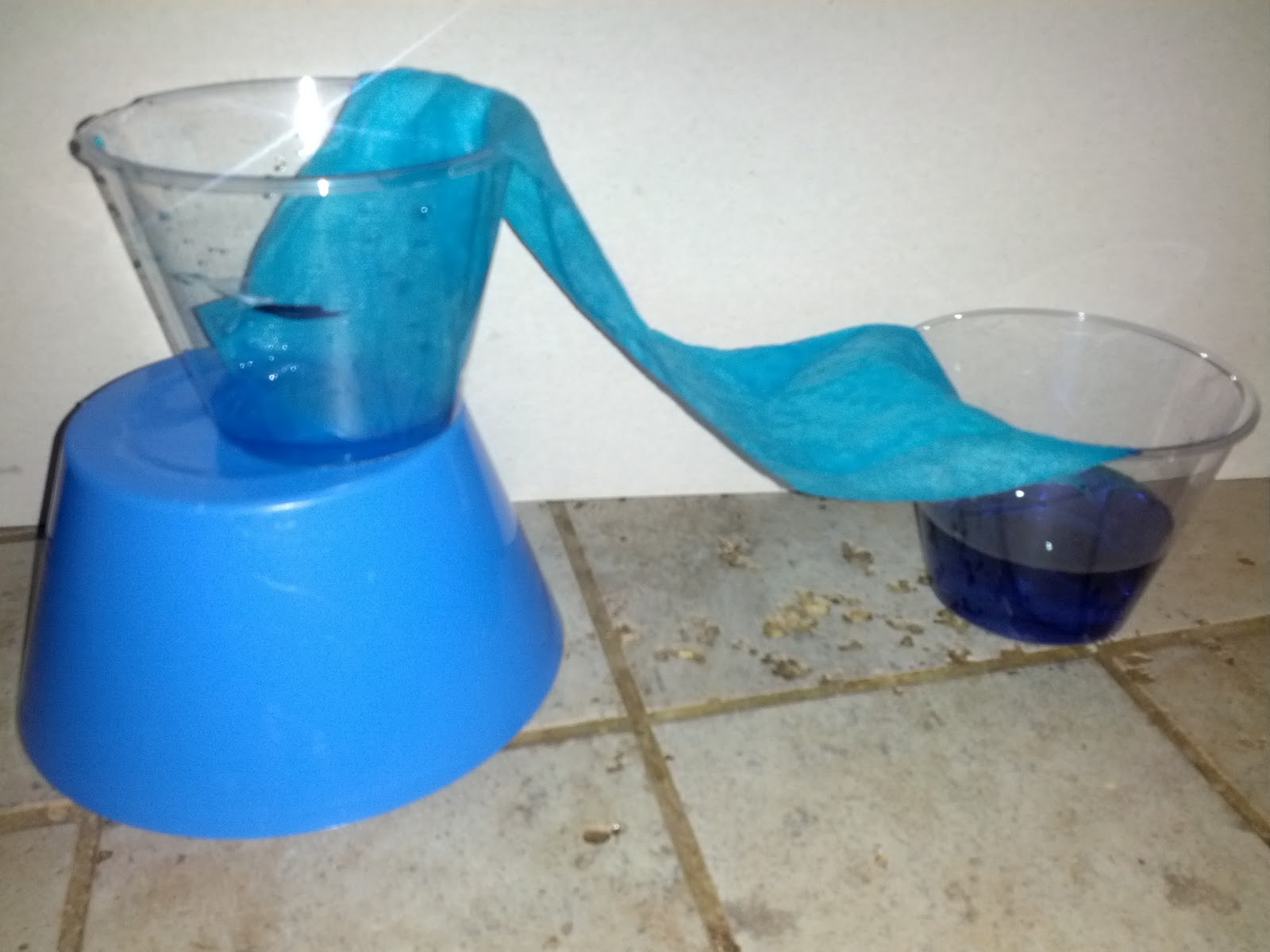 rainbow-walking-water-science-experiment-for-kids