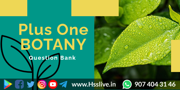 plus-one-botany-question-bank plus-one-botany-question-bank