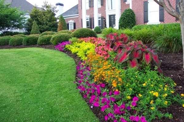 Ideas for garden design for beginner