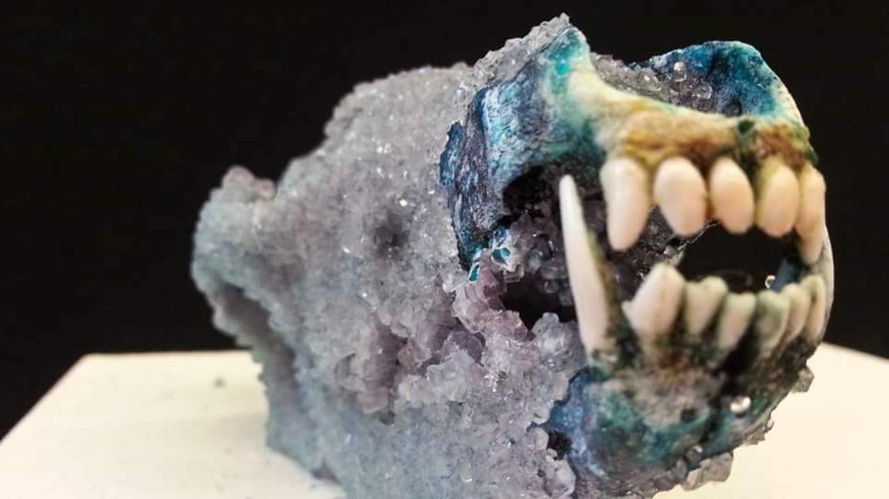 crystallized coyote skull