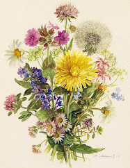 Dover Publications offers a wide variety of flowers to print...