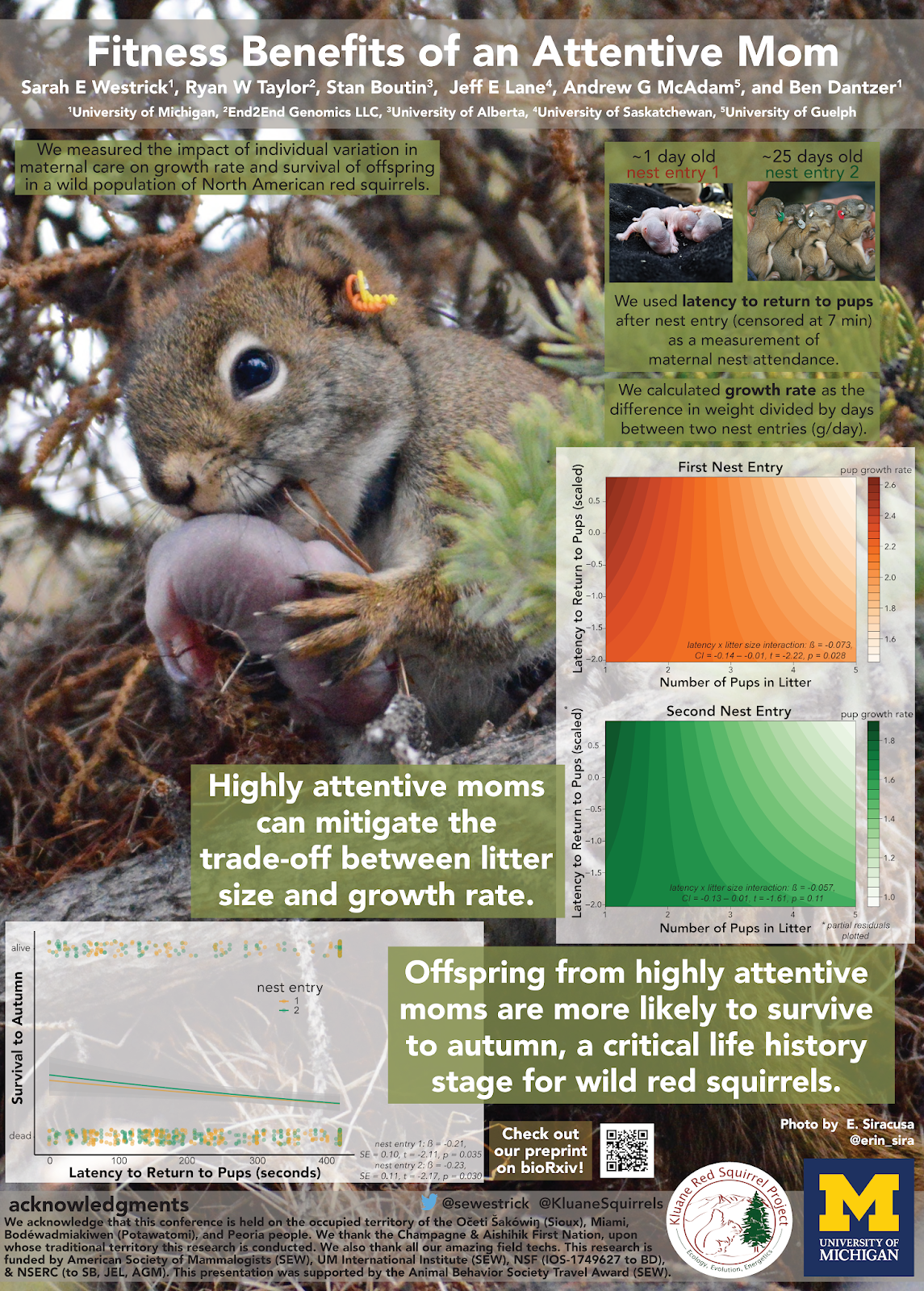 Better Posters Critique The world belongs to squirrels now