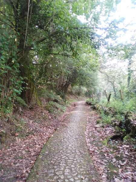 Foto de la calzada romana en el camino de Oviedo a Grado