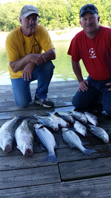 Norfork Lake fishing, Lake vacation, lake resorts, striper fishing, white bass fishing,