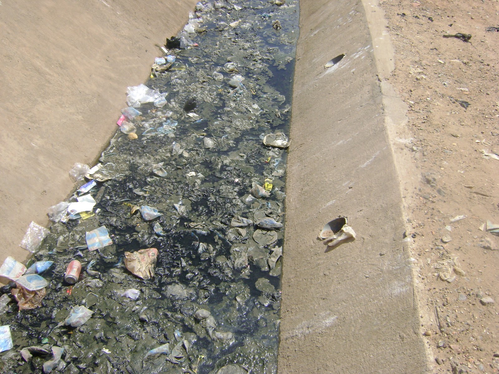 THE ENVIRONMENT SANITATION