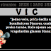 VIC: "Jedno veče, priča Gedža sa komšinicom Stanom, onako preko tarabe. Kaže njemu onako vragolastim glasom Stana:..."