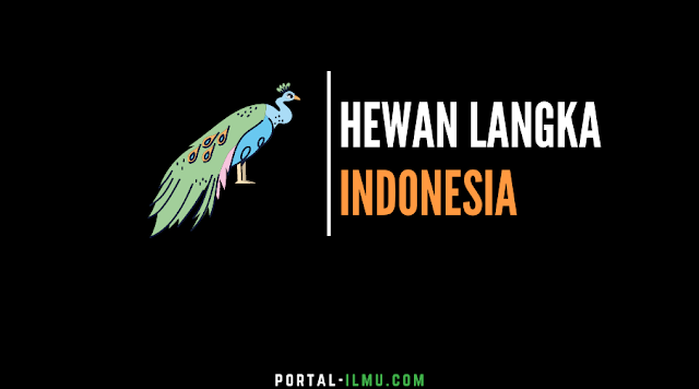 Daftar Hewan Langka di Indonesia