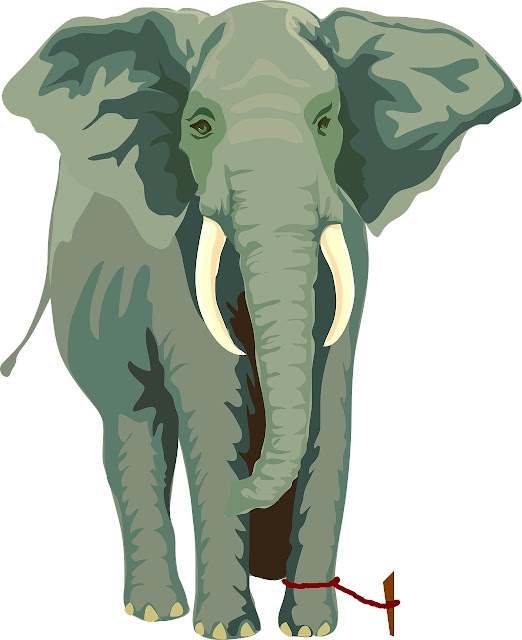 the elephant story - learned helplessness