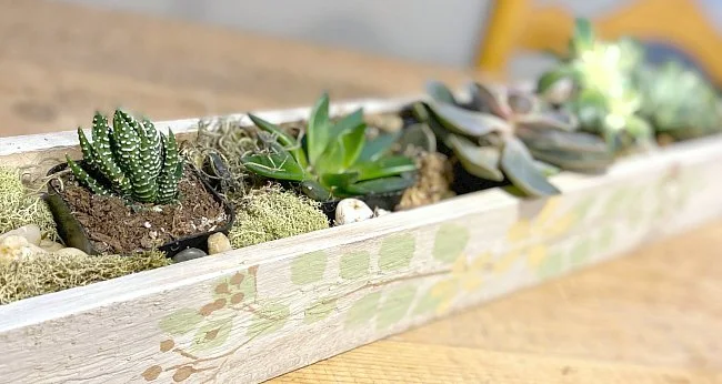 Make a Stenciled Rustic DIY Succulent Planter