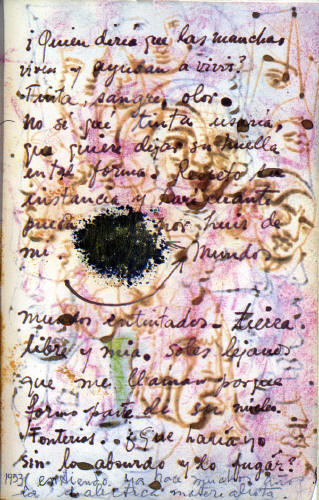 Inky worlds / Stains / Desire / Love / Rain / Flowers | The Diary Of Frida Kahlo 2 Inky worlds / Stains / Desire / Love / Rain / Flowers | The Diary Of Frida Kahlo fridadiary